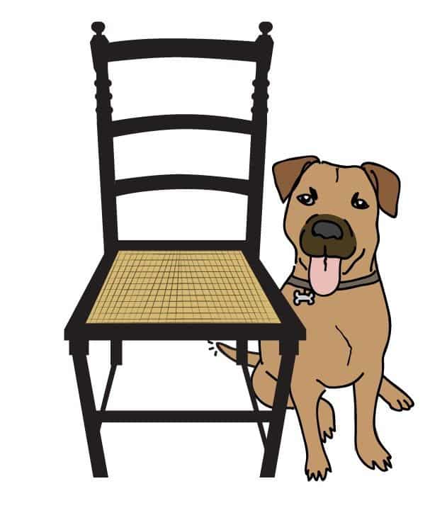 Florida Peerless Rattan